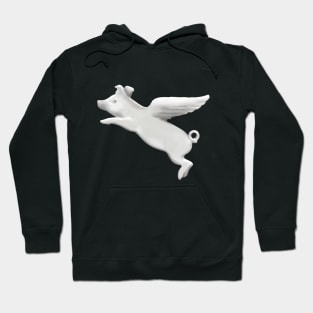 When Pigs Fly Too Hoodie